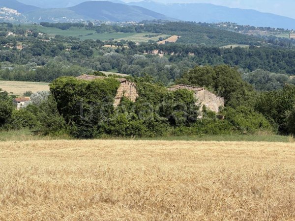terreno agricolo in vendita ad Orte