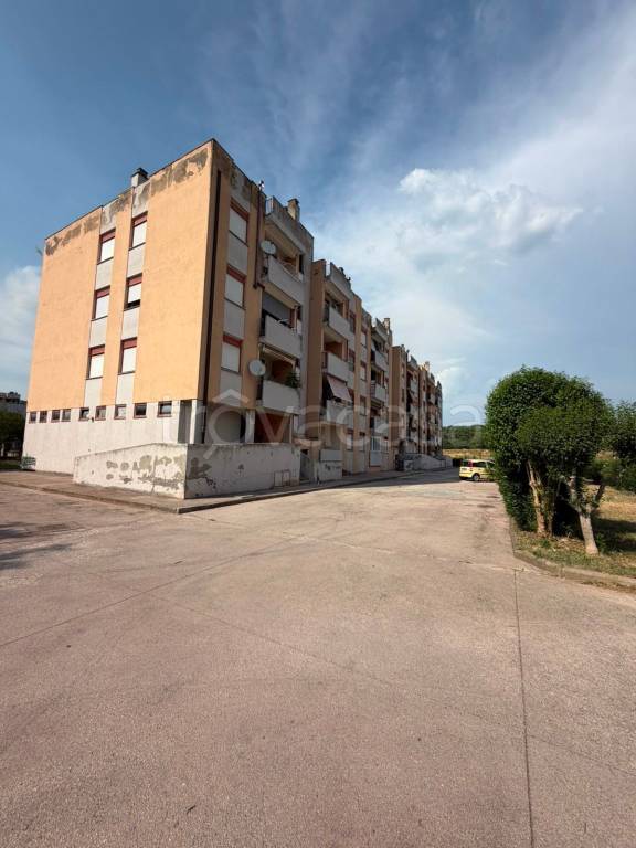 immagine annuncio 0 di 15