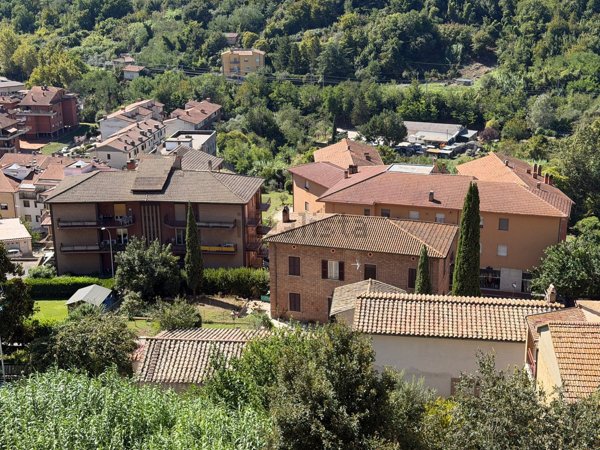 casa indipendente in vendita ad Orte in zona Orte Scalo