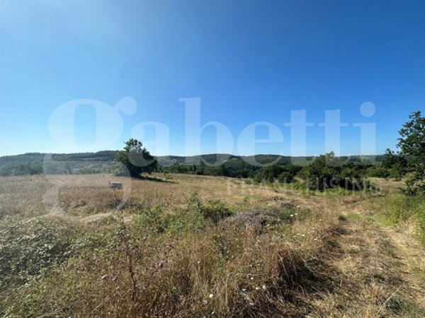 casa indipendente in vendita ad Orte