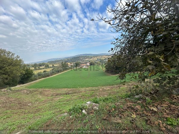 casa indipendente in vendita ad Orte