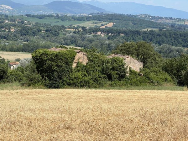 immagine annuncio 0 di 9