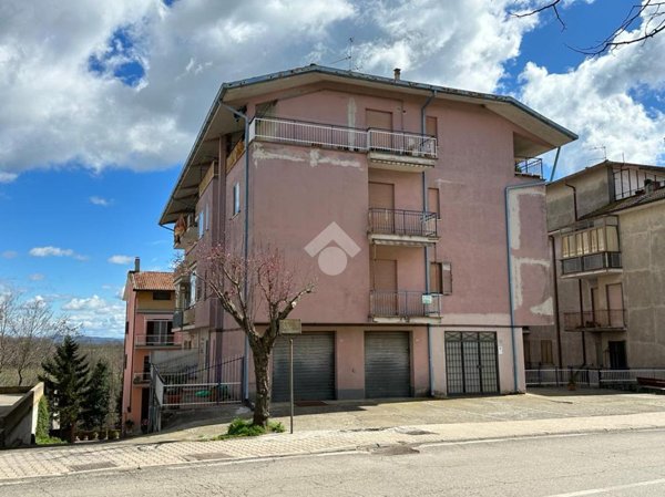 appartamento in vendita a Piansano