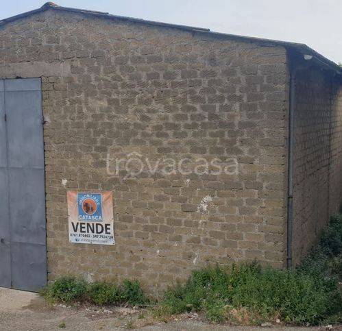 negozio in vendita a Piansano