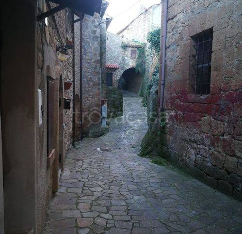 negozio in vendita a Piansano