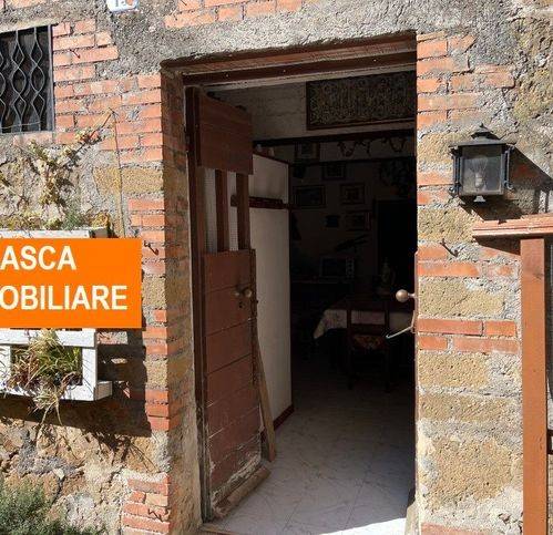 negozio in vendita a Piansano