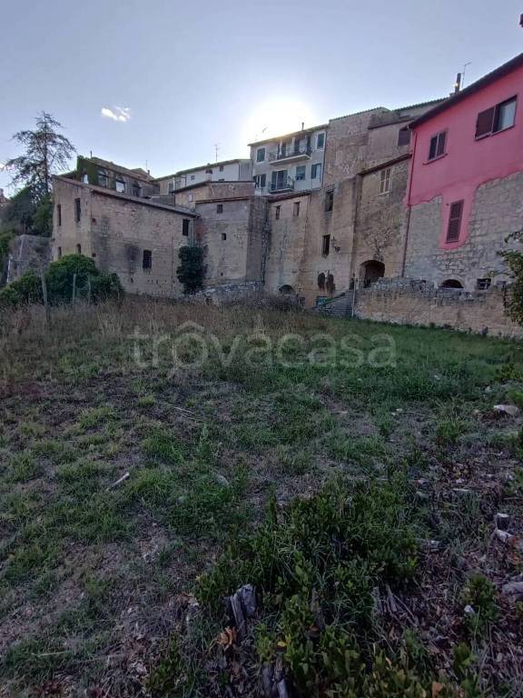 terreno agricolo in vendita a Piansano