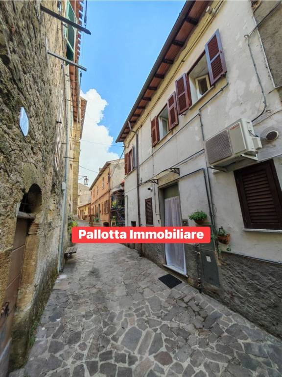 appartamento in vendita a Piansano