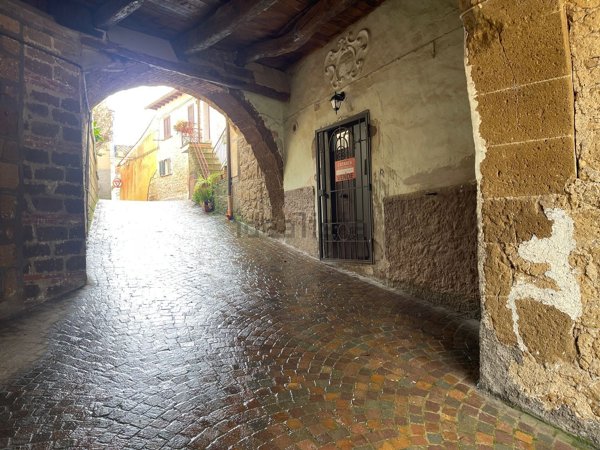 appartamento in vendita a Piansano