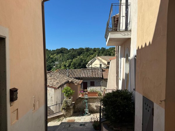 appartamento in vendita a Piansano