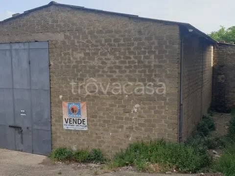 appartamento in vendita a Piansano