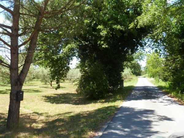 casale in vendita a Proceno