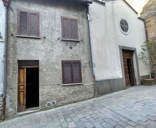 esavano in vendita a Proceno