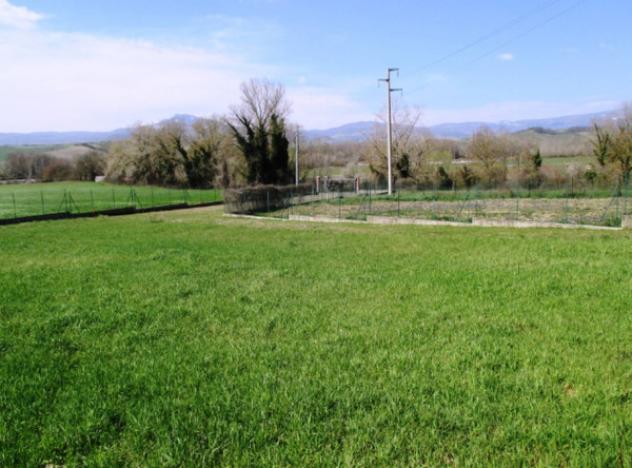 terreno agricolo in vendita a Proceno in zona Centeno