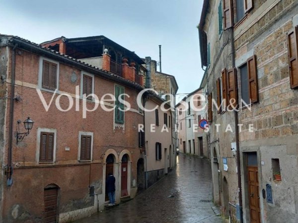 appartamento in vendita a Proceno