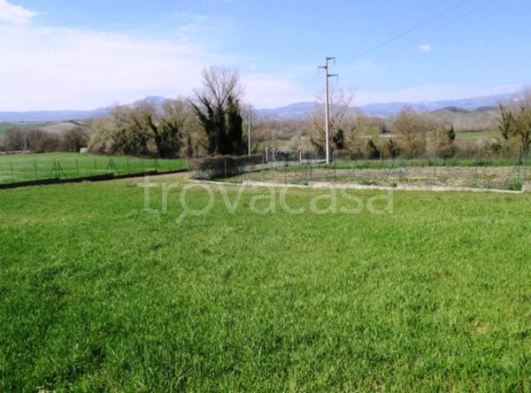 terreno agricolo in vendita a Proceno in zona Centeno