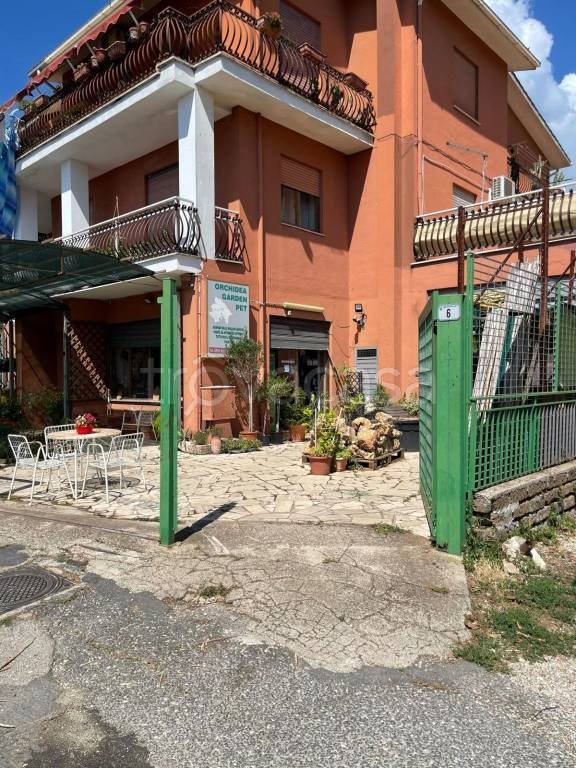 trivano in vendita a Ronciglione