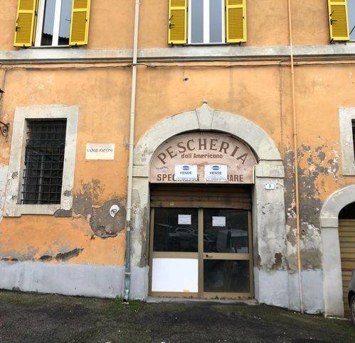 negozio in vendita a Ronciglione