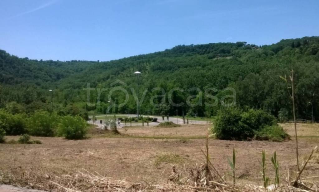 terreno agricolo in vendita a Ronciglione