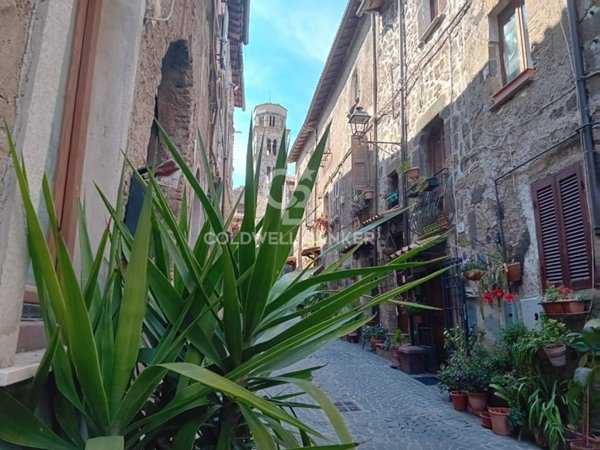 appartamento in vendita a Ronciglione