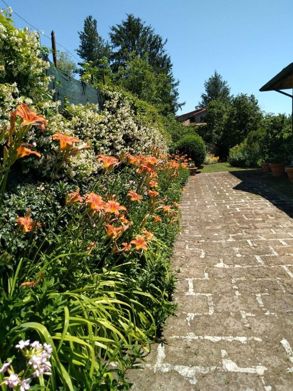 esavano in vendita a Ronciglione