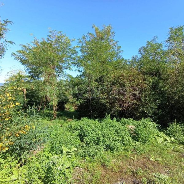 terreno agricolo in vendita a Ronciglione