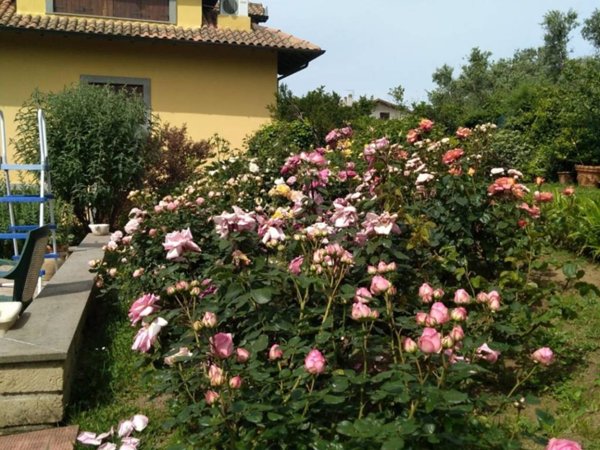 casa indipendente in vendita a Ronciglione