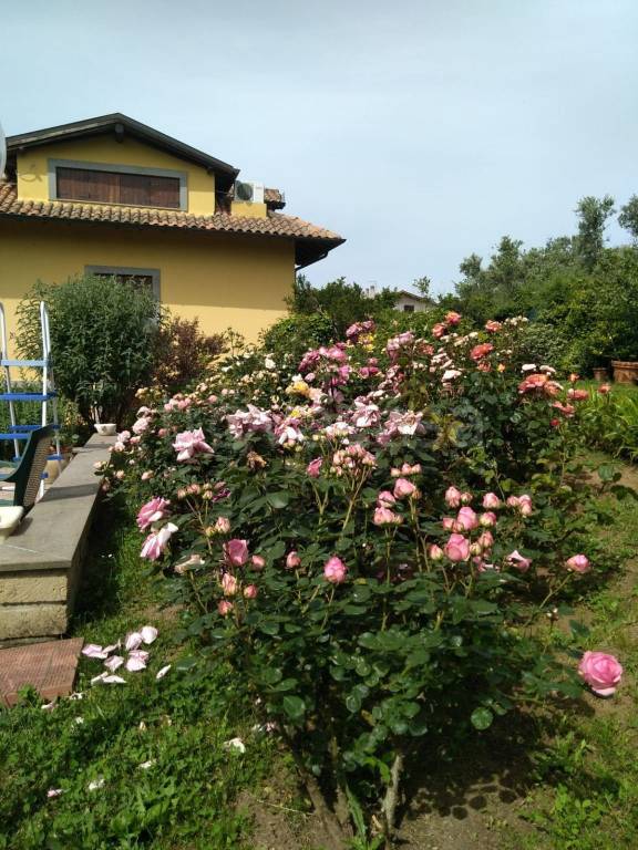 casa indipendente in vendita a Ronciglione