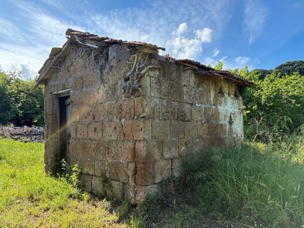 terreno agricolo in vendita a Ronciglione