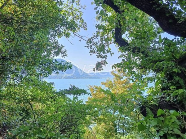 immagine annuncio 0 di 15