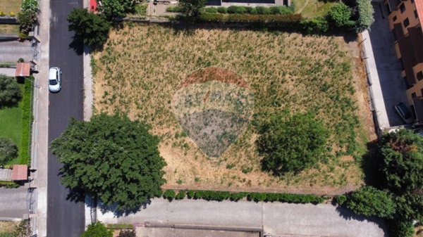 terreno agricolo in vendita a San Lorenzo Nuovo