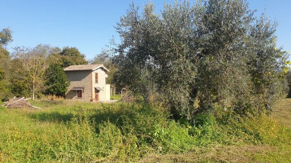 appartamento in vendita a San Lorenzo Nuovo