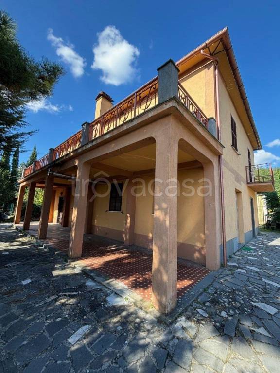 immagine annuncio 0 di 15