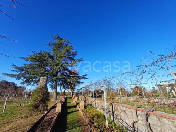 immagine annuncio 0 di 15