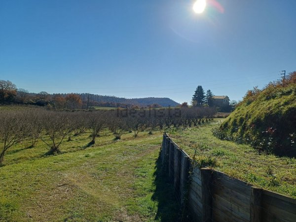 appartamento in vendita a San Lorenzo Nuovo