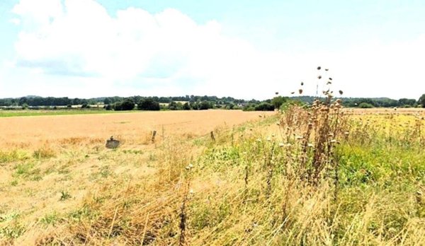 negozio in vendita a San Lorenzo Nuovo