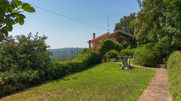 esavano in vendita a San Lorenzo Nuovo