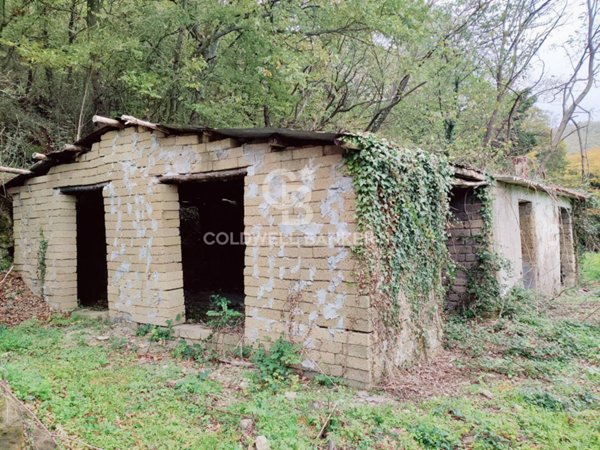 casa indipendente in vendita a San Lorenzo Nuovo