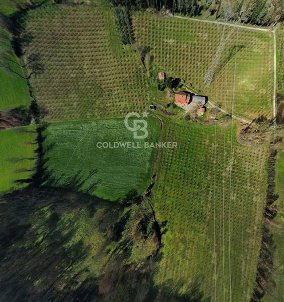 casa indipendente in vendita a Soriano nel Cimino