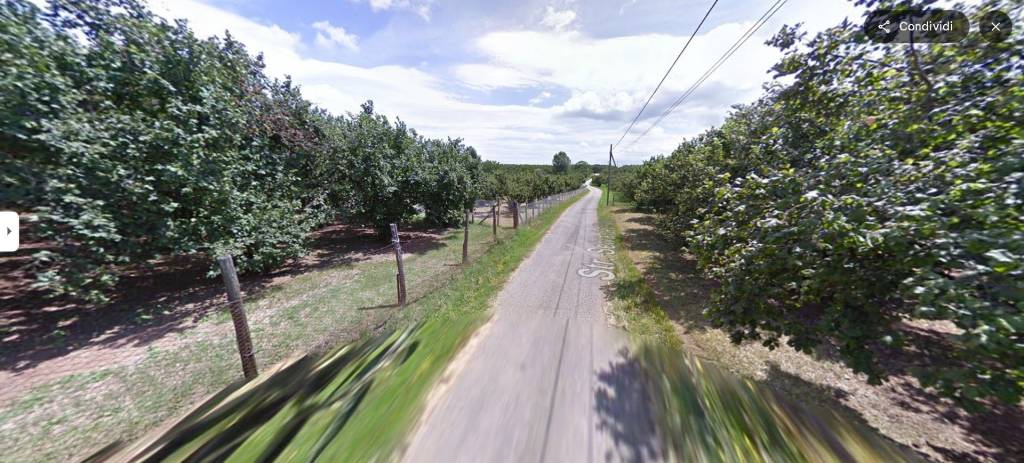 terreno agricolo in vendita a Soriano nel Cimino