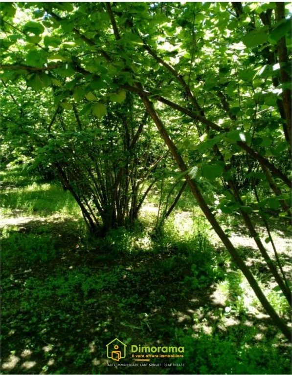 casa indipendente in vendita a Soriano nel Cimino