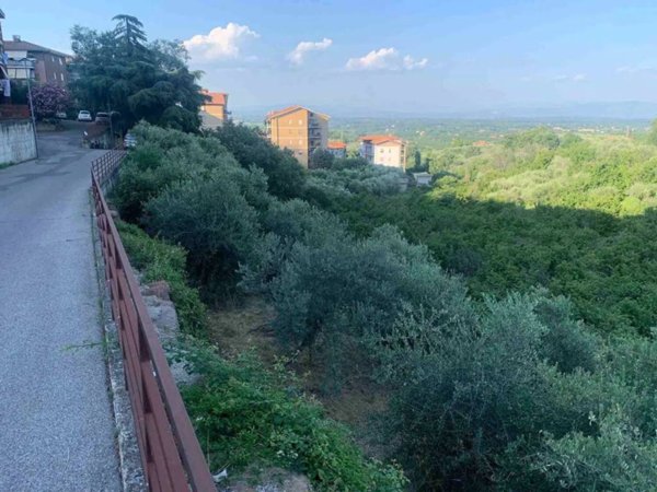 terreno agricolo in vendita a Soriano nel Cimino