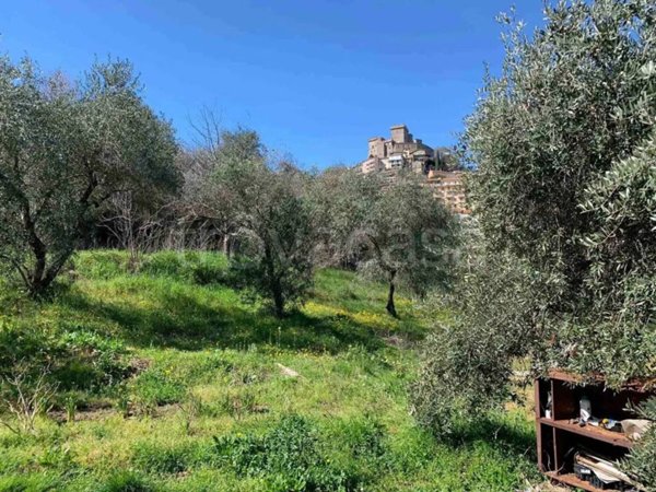 terreno agricolo in vendita a Soriano nel Cimino
