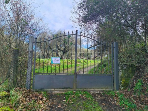 casa indipendente in vendita a Soriano nel Cimino