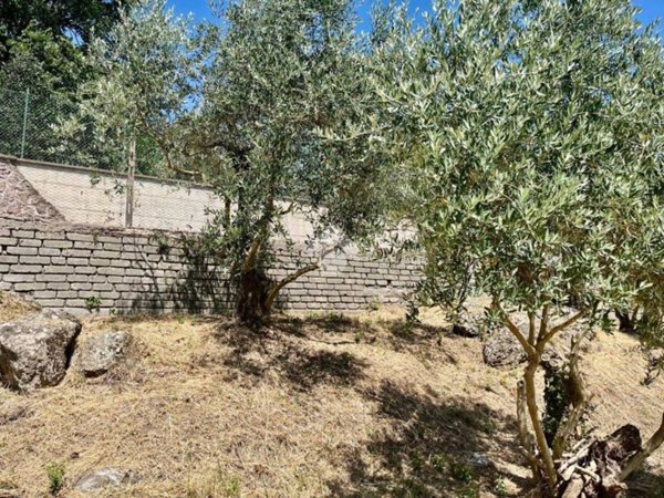 terreno agricolo in vendita a Soriano nel Cimino