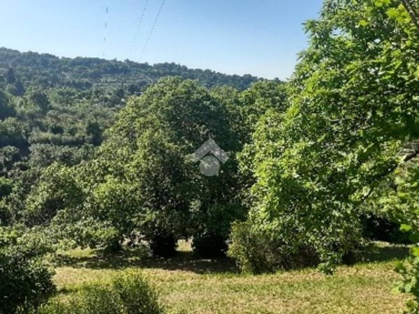 terreno agricolo in vendita a Soriano nel Cimino