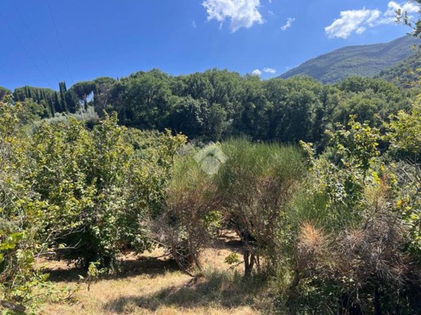 terreno agricolo in vendita a Soriano nel Cimino