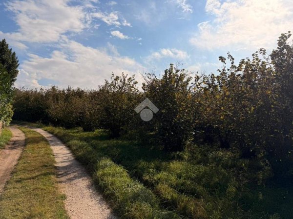 terreno agricolo in vendita a Soriano nel Cimino in zona Sant'Eutizio