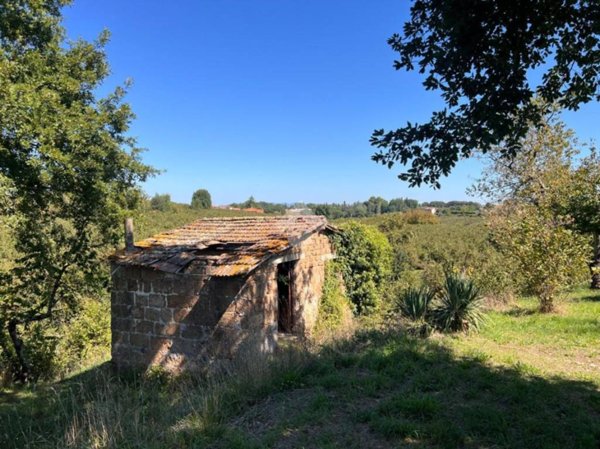 appartamento in vendita a Soriano nel Cimino in zona Sant'Eutizio
