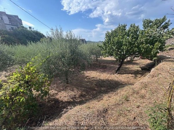 terreno agricolo in vendita a Soriano nel Cimino in zona Chia